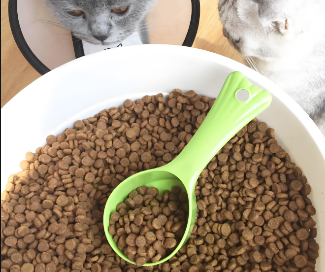 寵物食品檢驗測試服務(wù)：全方位守護寵物飲食安全！