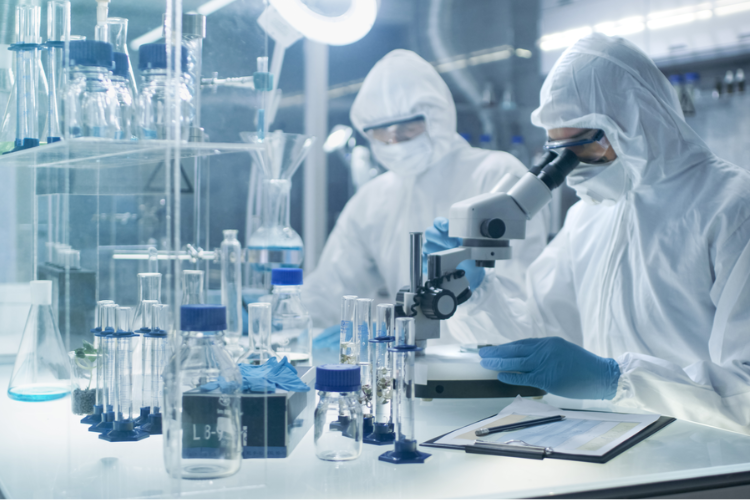 藥品質(zhì)量標準體系！